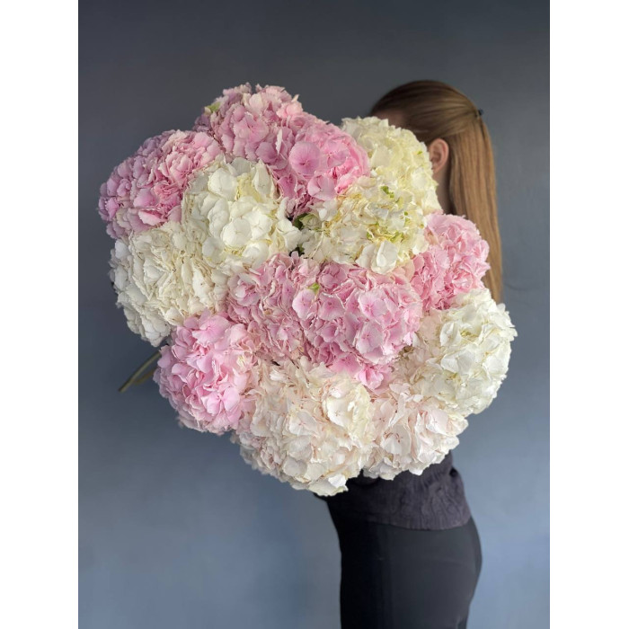 A bouquet of pink, blue and white hydrangeas