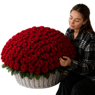 501 rose (2) 501 rose (2)