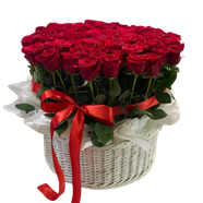 Red roses (24) Red roses (24)