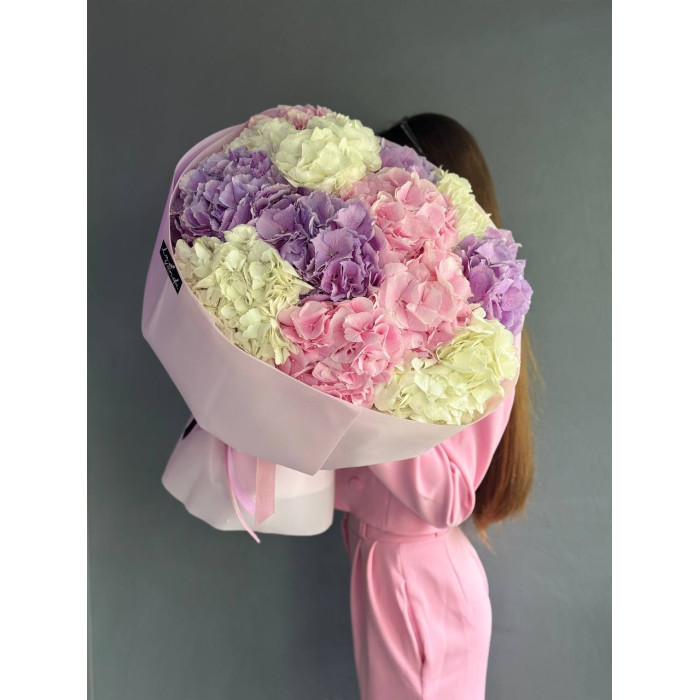 A bouquet of purple, pink and white hydrangeas