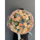 Bouquet №1752