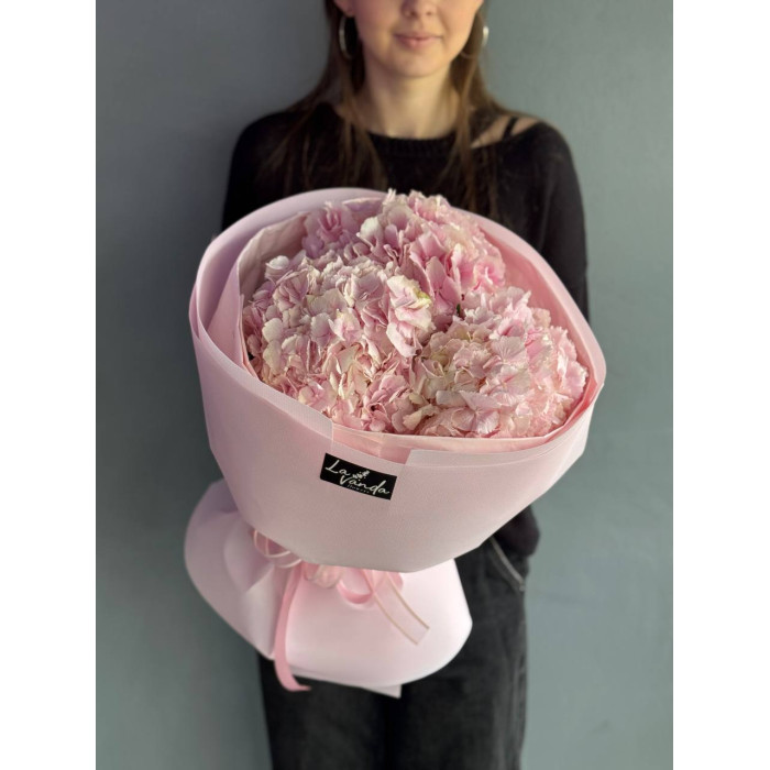 Bouquet of pink hydrangeas