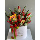 Gift set #1711