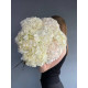 Bouquet of white hydrangeas