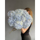 Bouquet of blue hydrangeas
