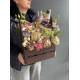 Gift set #19361